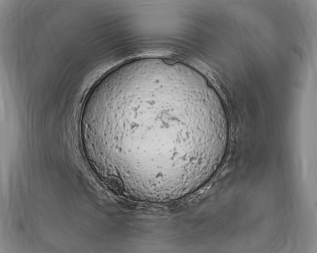 X0000112780337200909031633