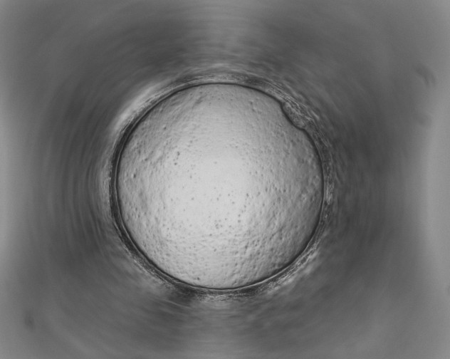 X0000112780341200909031633