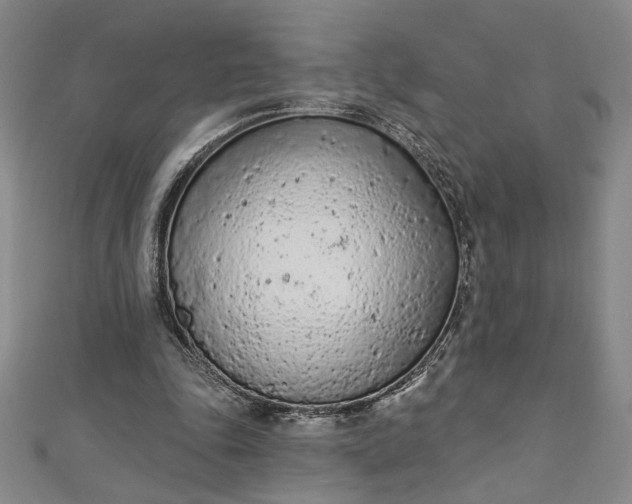 X0000112780343200909031633