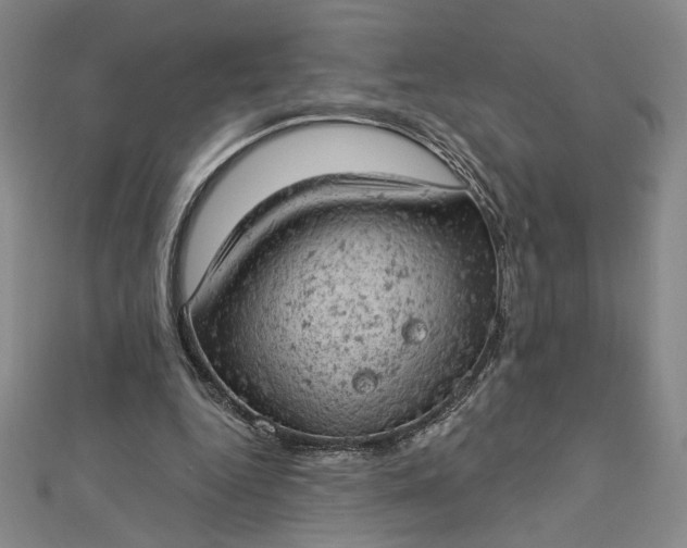 X0000112780344200909031633