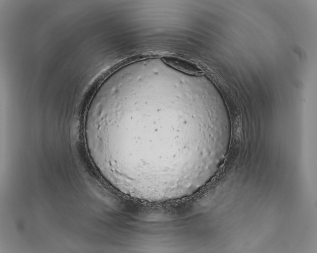 X0000112780351200909031633