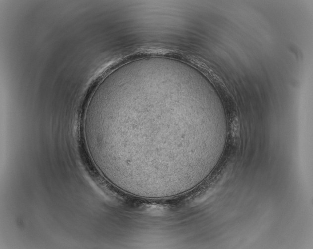 X0000112780352200909031633