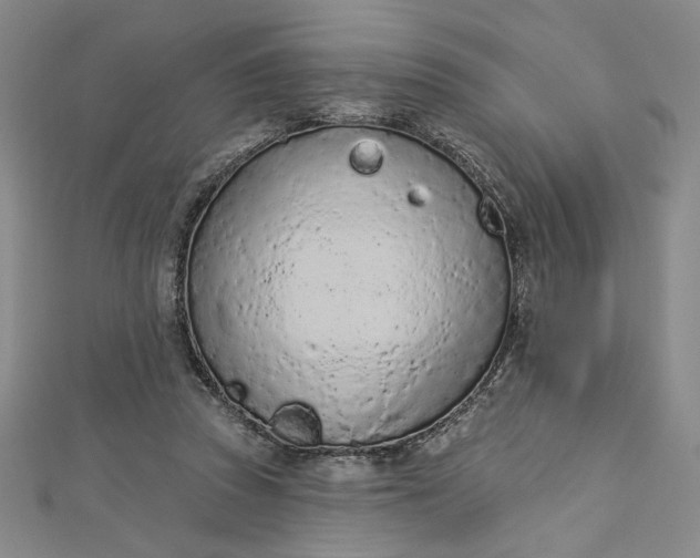 X0000112780353200909031633