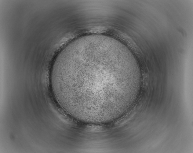 X0000112780354200909031633