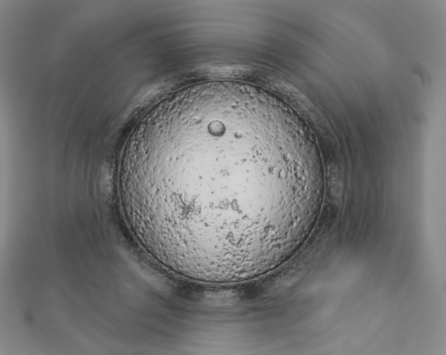 X0000112780357200909031633