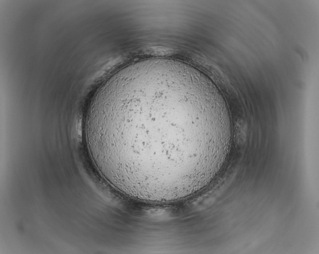 X0000112780358200909031633