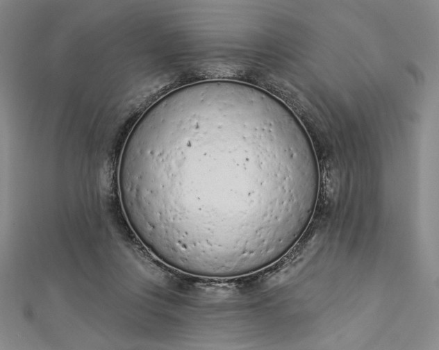 X0000112780359200909031633