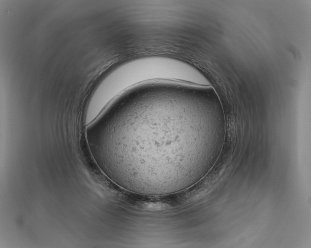 X0000112780360200909031633