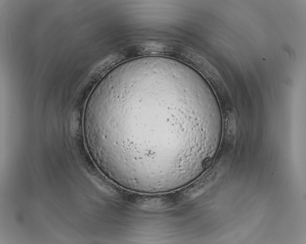 X0000112780361200909031633