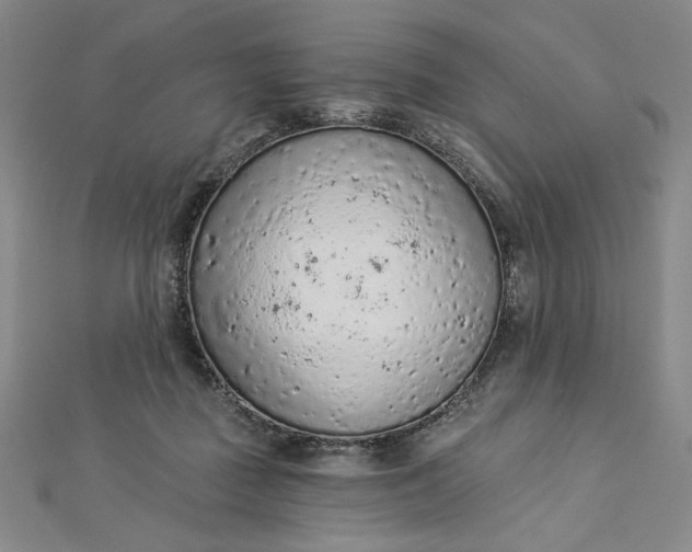 X0000112780363200909031633