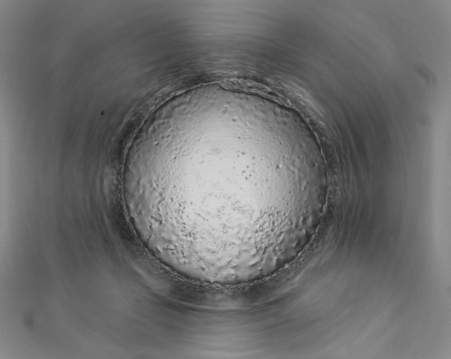 X0000112780365200909031633