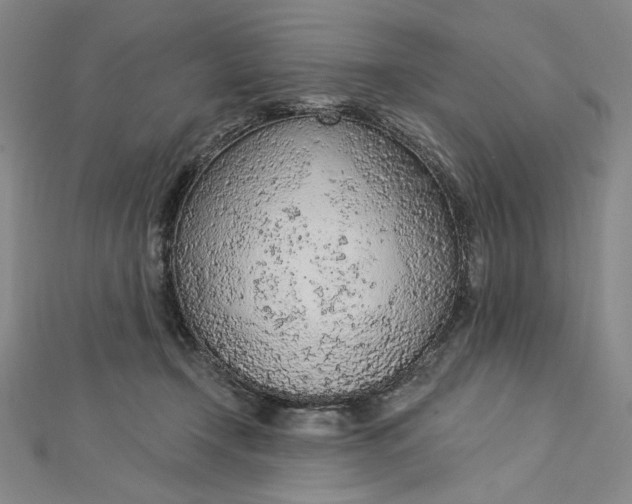 X0000112780366200909031633