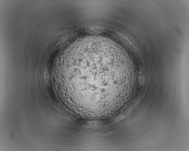 X0000112780371200909031633