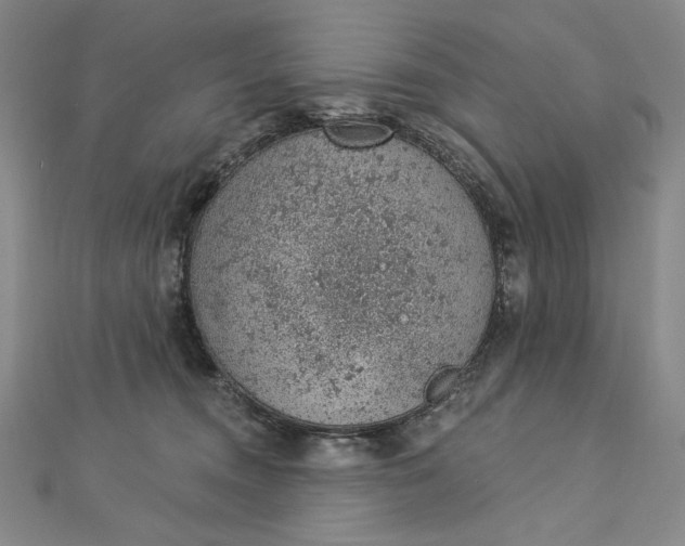 X0000112780372200909031633