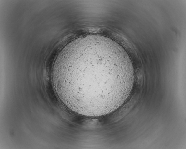 X0000112780374200909031633