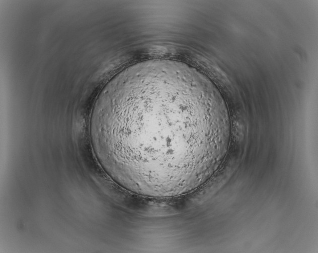 X0000112780375200909031633