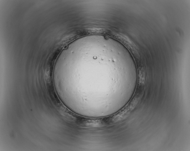 X0000112780377200909031633