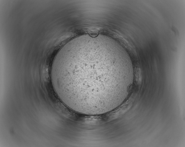 X0000112780378200909031633