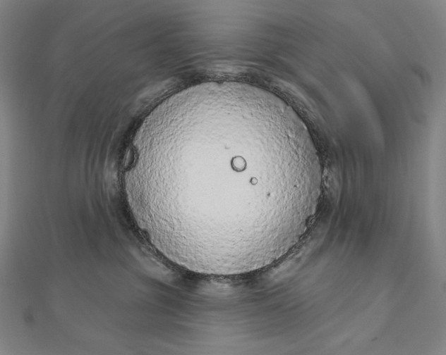 X0000112780381200909031633