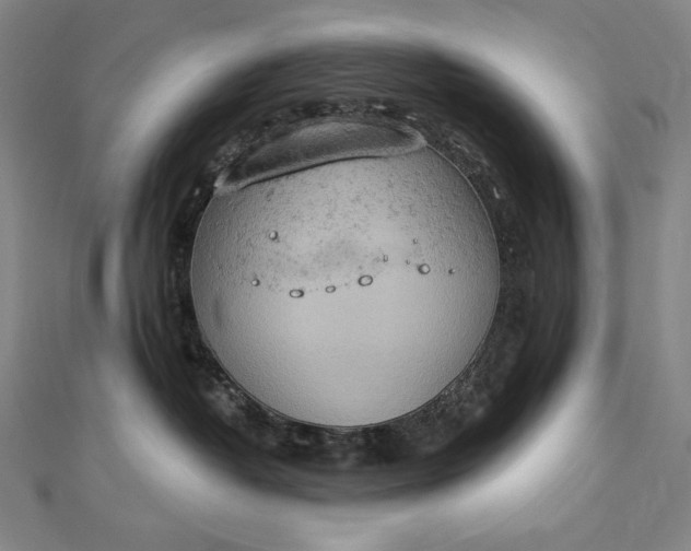 X0000112780382200909031633