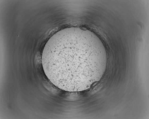 X0000112780384200909031633