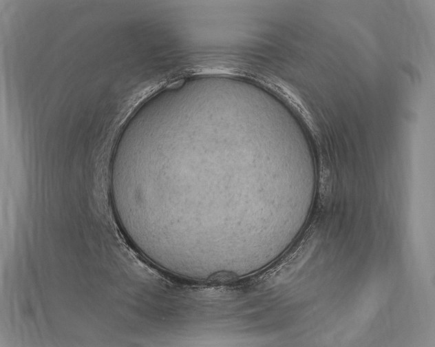 X0000112780385200909031633