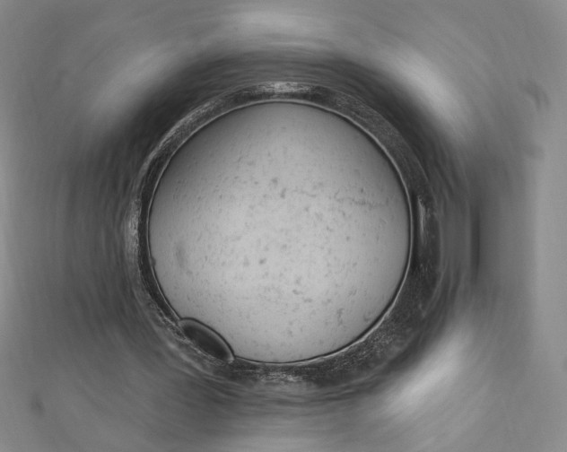 X0000112780387200909031633