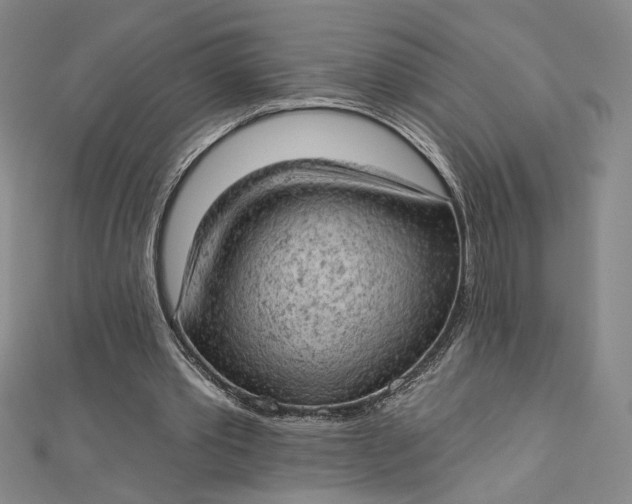 X0000112780389200909031633