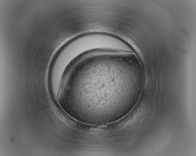 X0000112780391200909031633