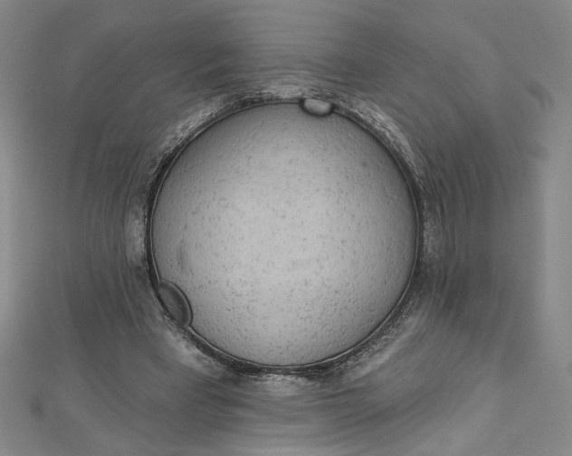 X0000112780393200909031632