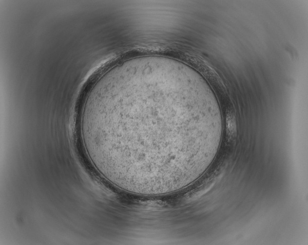 X0000112780396200909031632