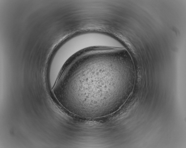 X0000112780399200909031632