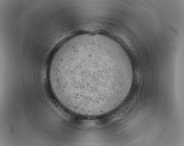 X0000112780404200909031632