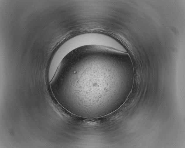 X0000112780405200909031632