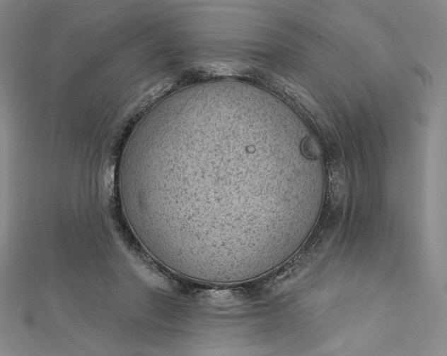 X0000112780406200909031632