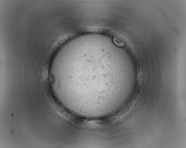 X0000112780407200909031632