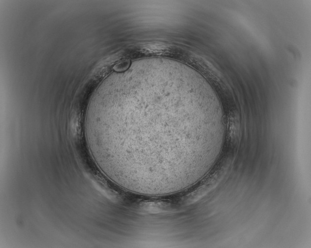 X0000112780408200909031632