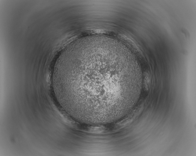 X0000112780410200909031632