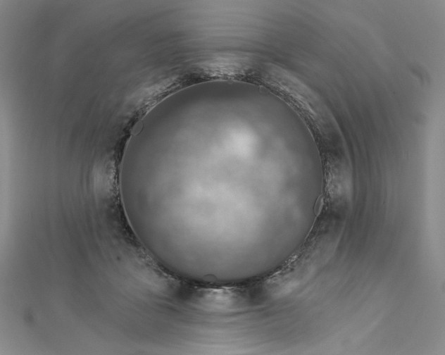 X0000112780411200909031632