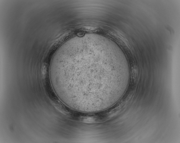 X0000112780412200909031632