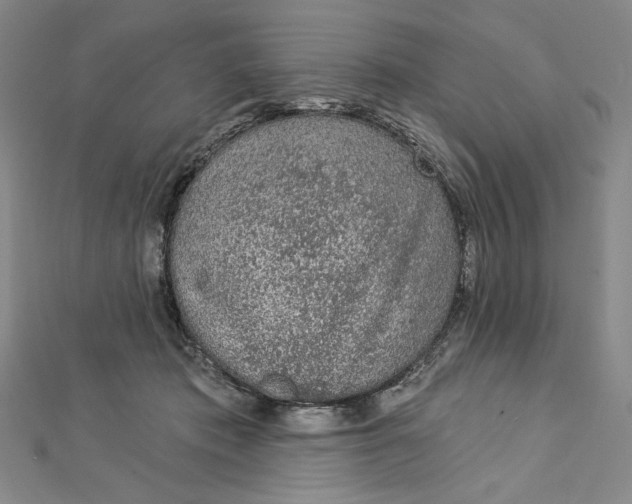 X0000112780413200909031632