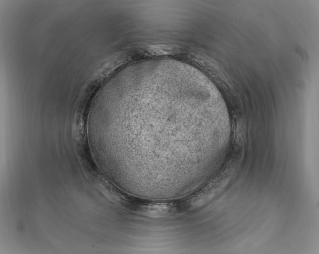 X0000112780418200909031632