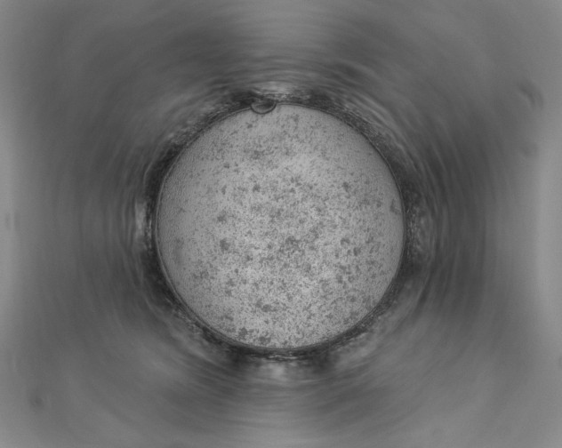 X0000112780420200909031632