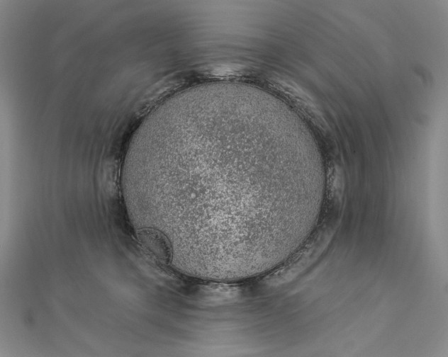 X0000112780421200909031632