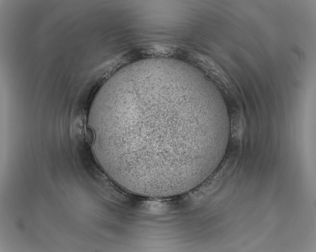 X0000112780425200909031632