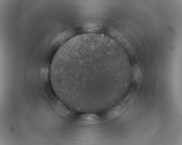 X0000112780427200909031632