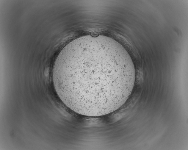 X0000112780428200909031632