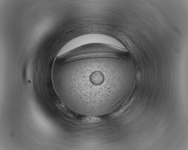 X0000112780429200909031632