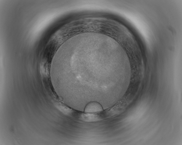 X0000112780431200909031632