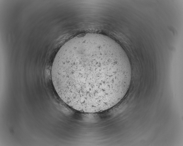 X0000112780432200909031632